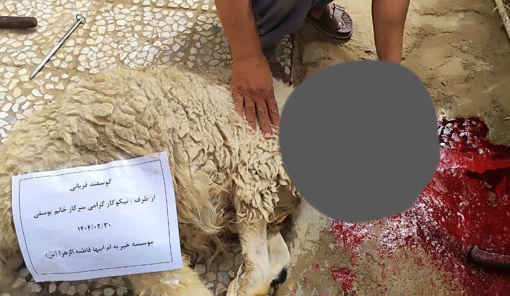 photo_2025-07-01_13-29-50 (2)