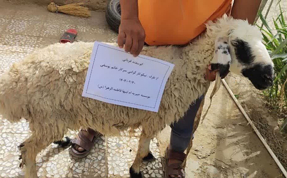 photo_2025-07-01_13-29-53