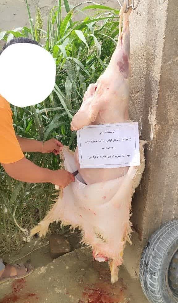 photo_2025-07-01_13-29-55