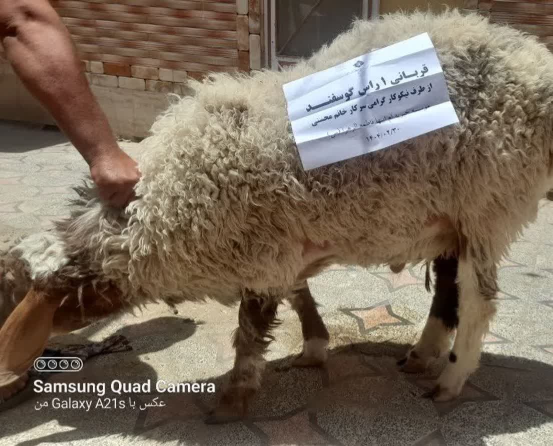 photo_2025-07-01_13-31-09