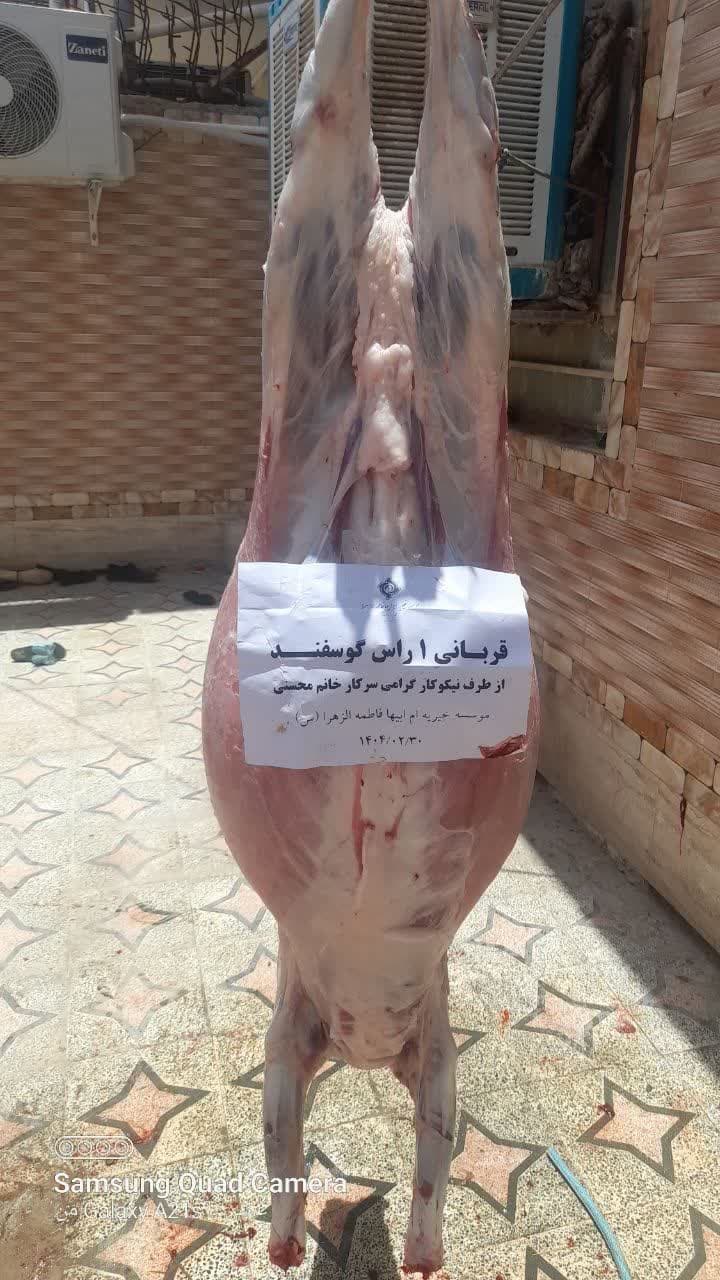 photo_2025-07-01_13-31-11