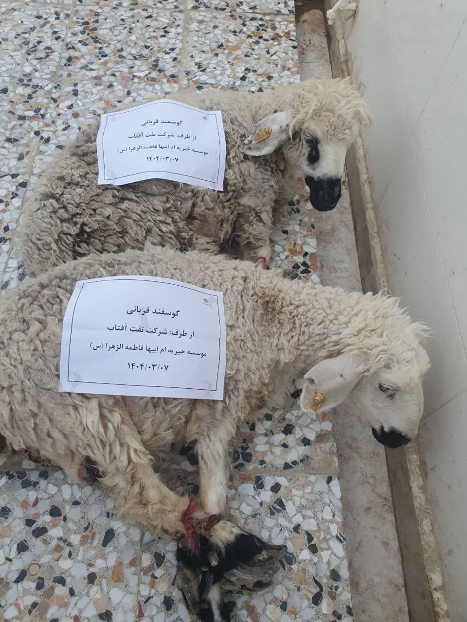 photo_2025-07-01_13-36-25